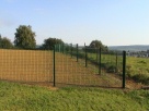 La clôture de jardin ... the garden fence (15.9.2008)